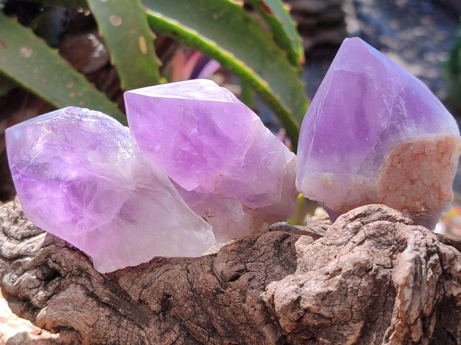 Polished Jacaranda Amethyst Quartz Crystal Points x 12 From Mumbwa, Zambia