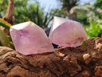Polished Jacaranda Amethyst Quartz Crystal Points x 12 From Mumbwa, Zambia