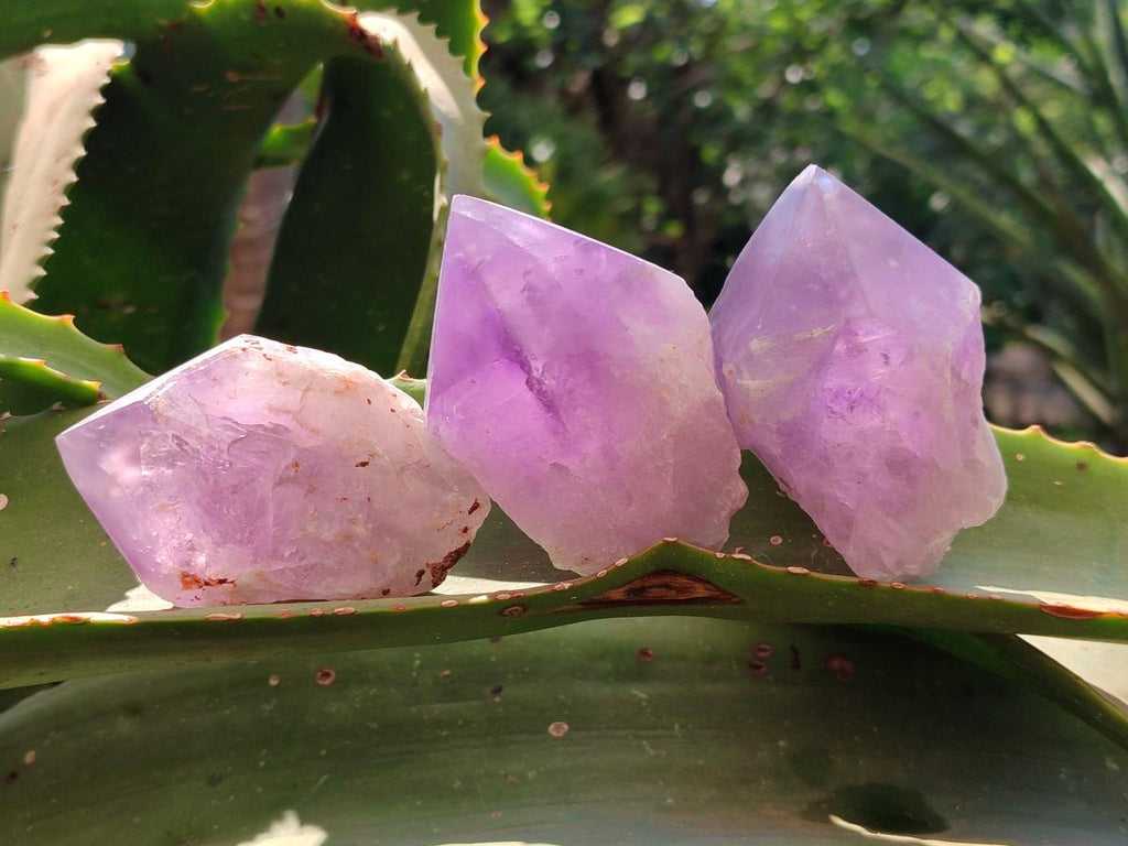 Polished Jacaranda Amethyst Quartz Crystal Points x 12 From Mumbwa, Zambia