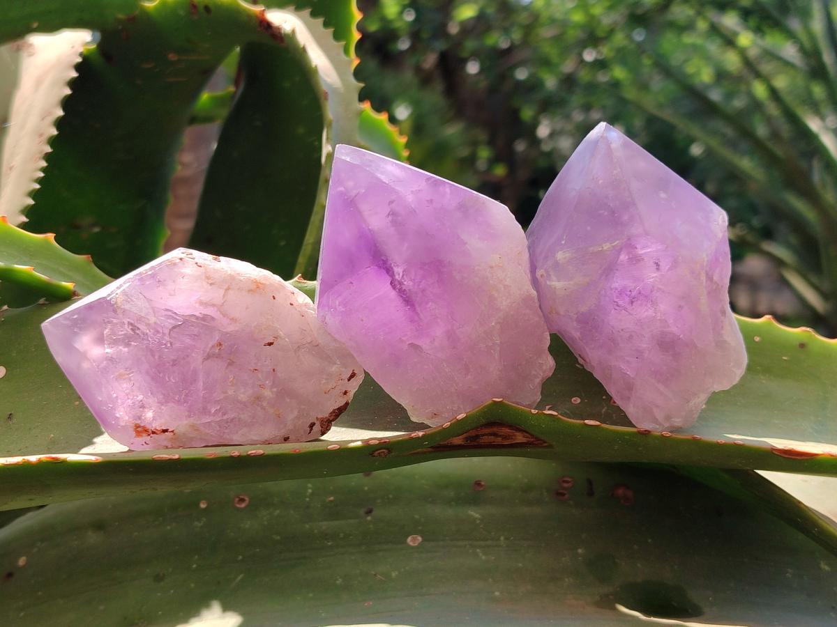 Polished Jacaranda Amethyst Quartz Crystal Points x 12 From Mumbwa, Zambia