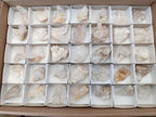 Natural Quartz Crystal Clusters x 35 From Madagascar