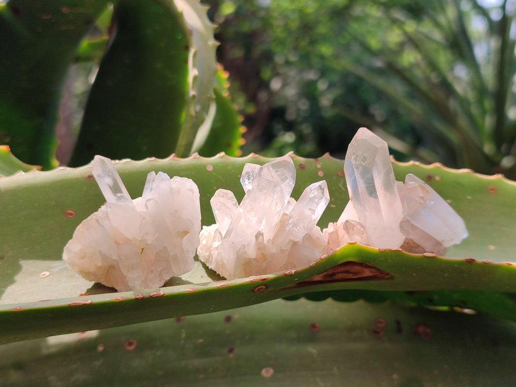 Natural Quartz Crystal Clusters x 35 From Madagascar