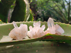 Natural Quartz Crystal Clusters x 35 From Madagascar