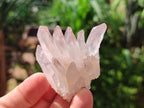Natural Quartz Crystal Clusters x 35 From Madagascar