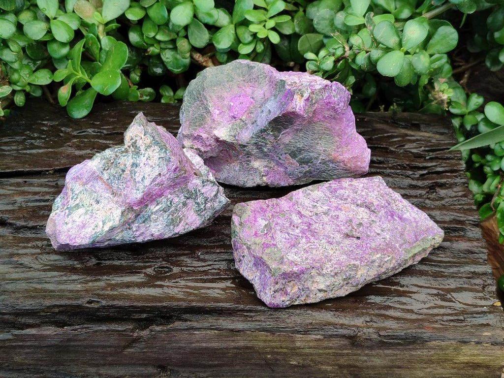 Natural Stichtite Cobbed Specimens x 3 From Barberton, South Africa