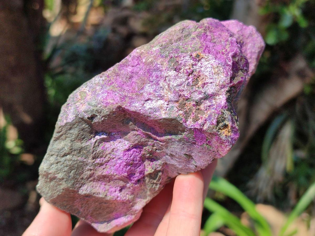 Natural Stichtite Cobbed Specimens x 3 From Barberton, South Africa