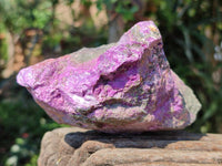 Natural Stichtite Cobbed Specimens x 3 From Barberton, South Africa