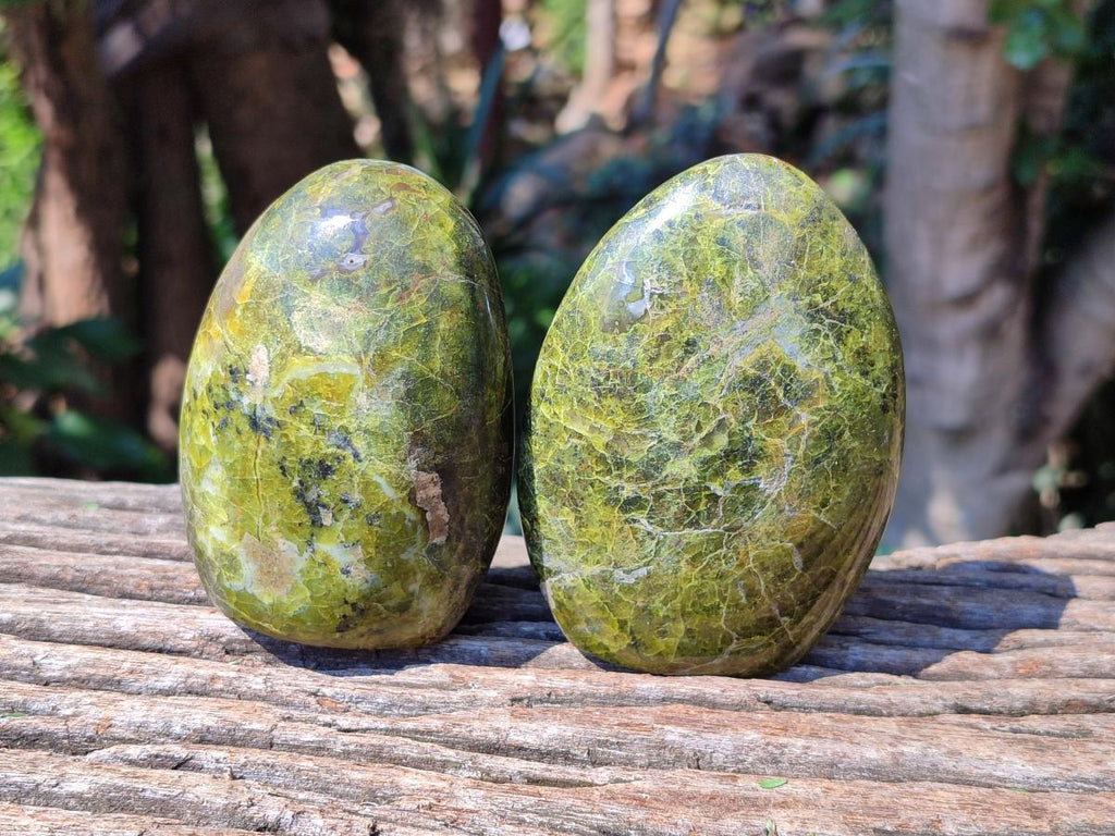 Polished Green Opal Standing Free Forms x 6 From Betroka, Madagascar