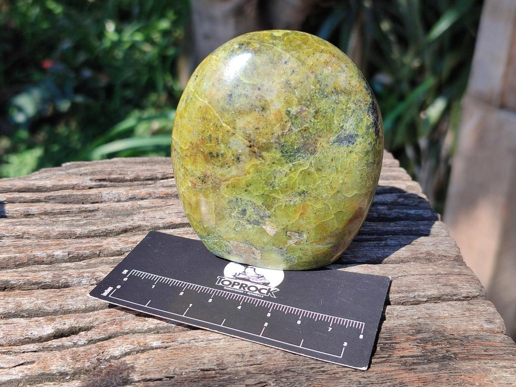 Polished Green Opal Standing Free Forms x 6 From Betroka, Madagascar