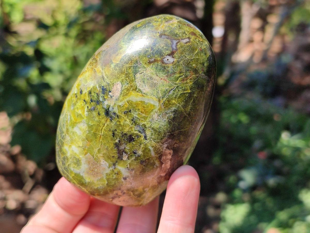 Polished Green Opal Standing Free Forms x 6 From Betroka, Madagascar