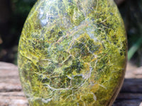 Polished Green Opal Standing Free Forms x 6 From Betroka, Madagascar