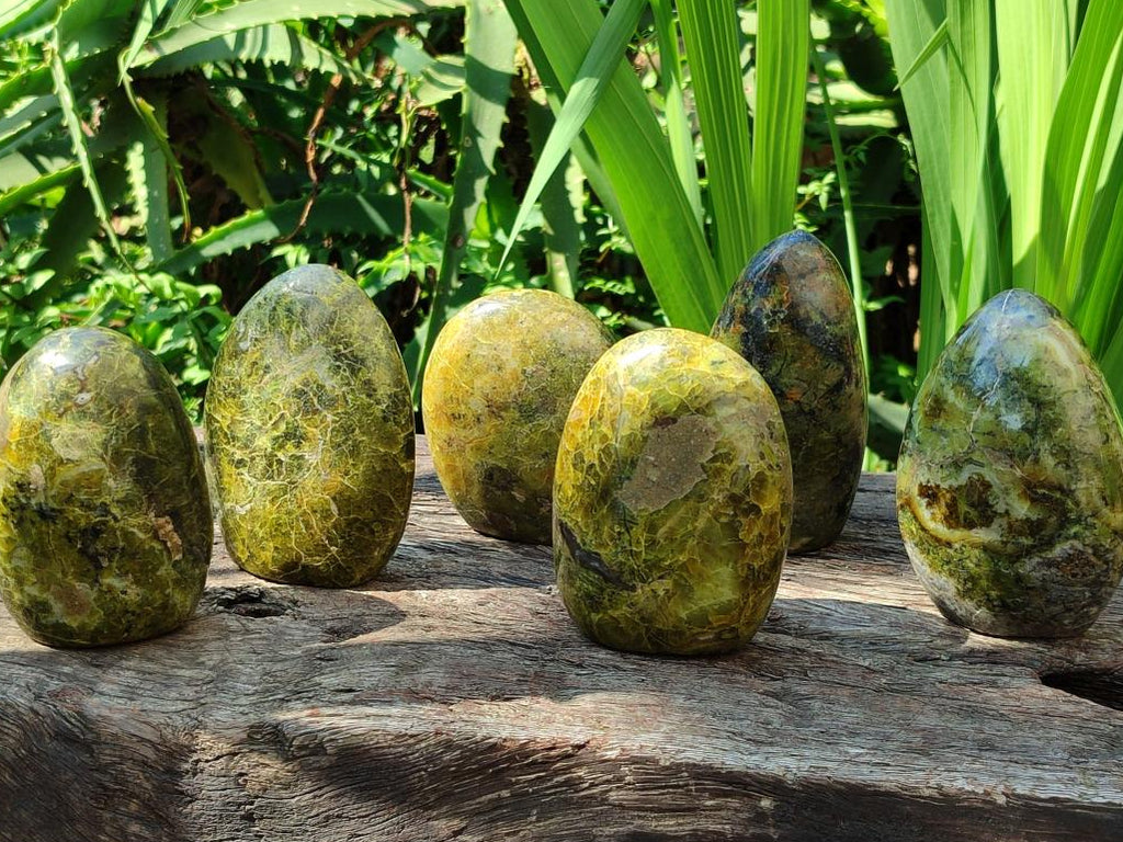 Polished Green Opal Standing Free Forms x 6 From Betroka, Madagascar