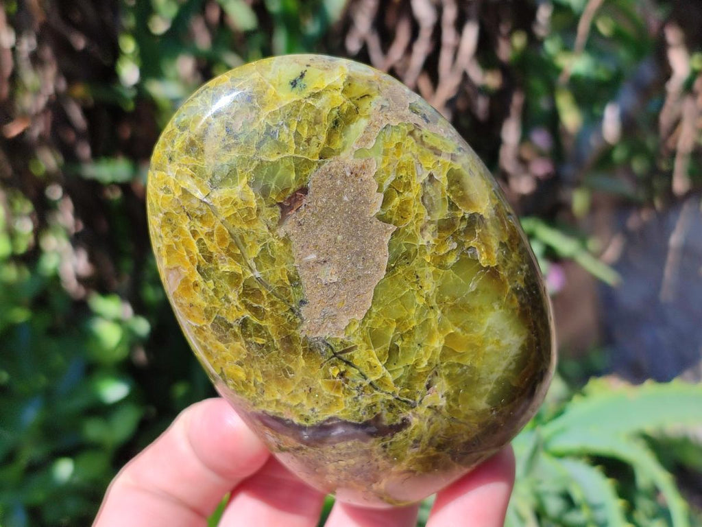 Polished Green Opal Standing Free Forms x 6 From Betroka, Madagascar