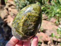 Polished Green Opal Standing Free Forms x 6 From Betroka, Madagascar