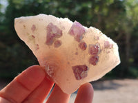 Natural Purple Cubic Fluorite On White Matrix Specimens x 12 From Khorixas, Namibia