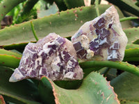 Natural Purple Cubic Fluorite On White Matrix Specimens x 12 From Khorixas, Namibia