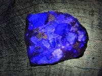 Natural Purple Cubic Fluorite On White Matrix Specimens x 12 From Khorixas, Namibia