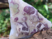 Natural Purple Cubic Fluorite On White Matrix Specimens x 12 From Khorixas, Namibia