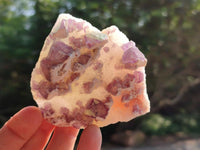 Natural Purple Cubic Fluorite On White Matrix Specimens x 12 From Khorixas, Namibia