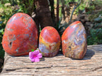 Polished Red Jasper Standing Free Forms x 3 From Madagascar