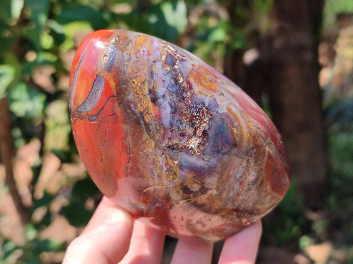 Polished Red Jasper Standing Free Forms x 3 From Madagascar