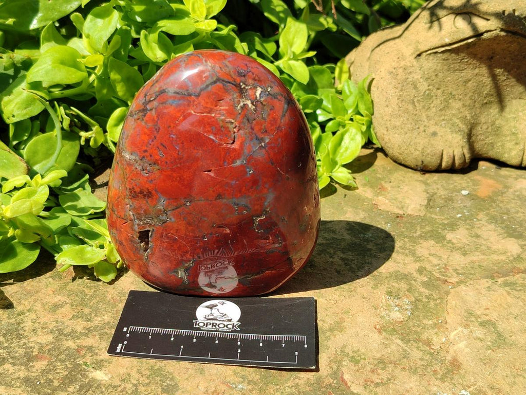 Polished Red Jasper Standing Free Forms x 3 From Madagascar