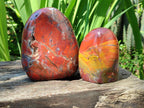 Polished Red Jasper Standing Free Forms x 3 From Madagascar