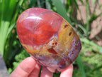 Polished Red Jasper Standing Free Forms x 3 From Madagascar