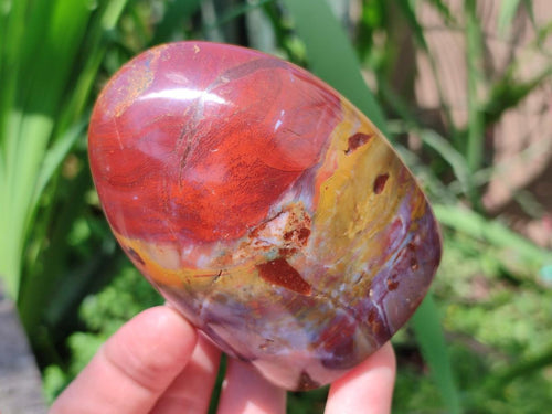 Polished Red Jasper Standing Free Forms x 3 From Madagascar - Toprock Gemstones and Minerals 