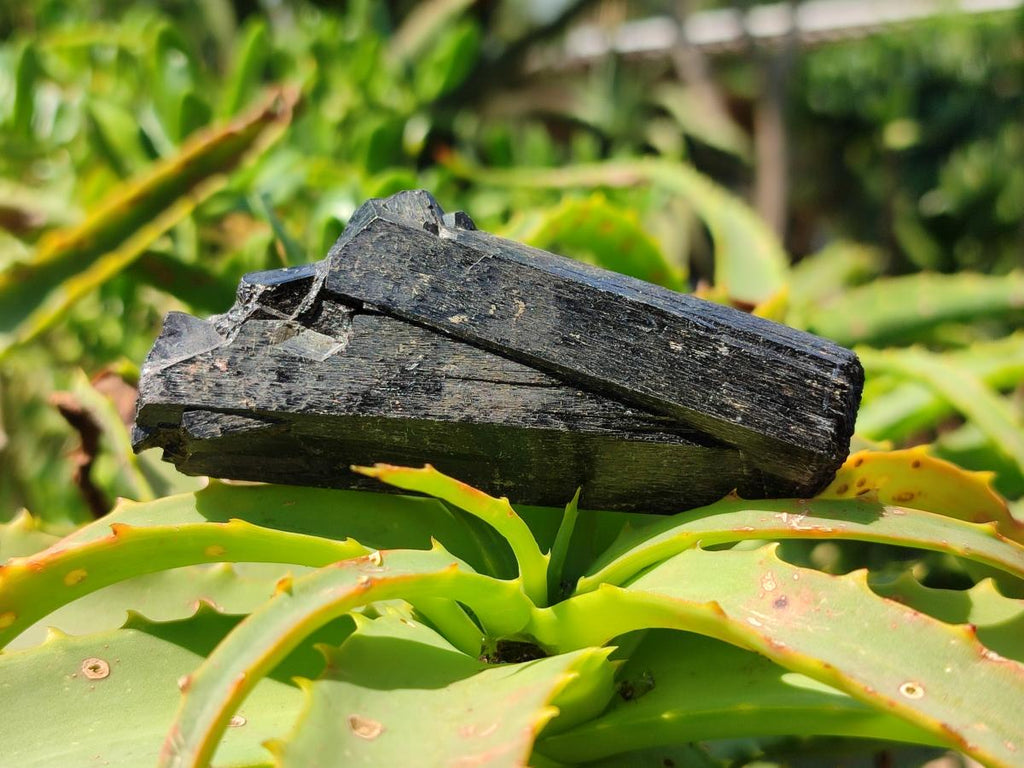 Natural Schorl Black Tourmaline with Associated Minerals x 6 From Erongo, Namibia