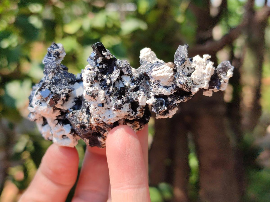 Natural Schorl Black Tourmaline with Associated Minerals x 6 From Erongo, Namibia