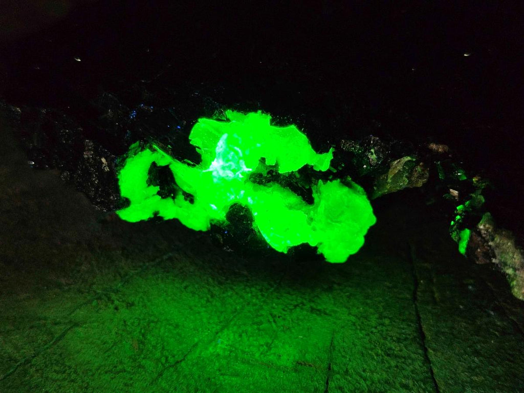 Natural Schorl Black Tourmaline with Associated Minerals x 6 From Erongo, Namibia