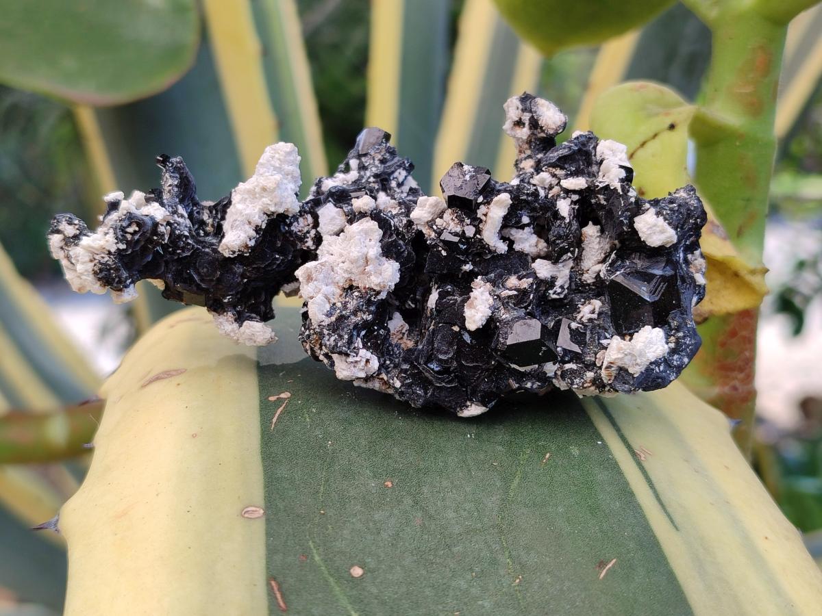 Natural Schorl Black Tourmaline with Associated Minerals x 6 From Erongo, Namibia