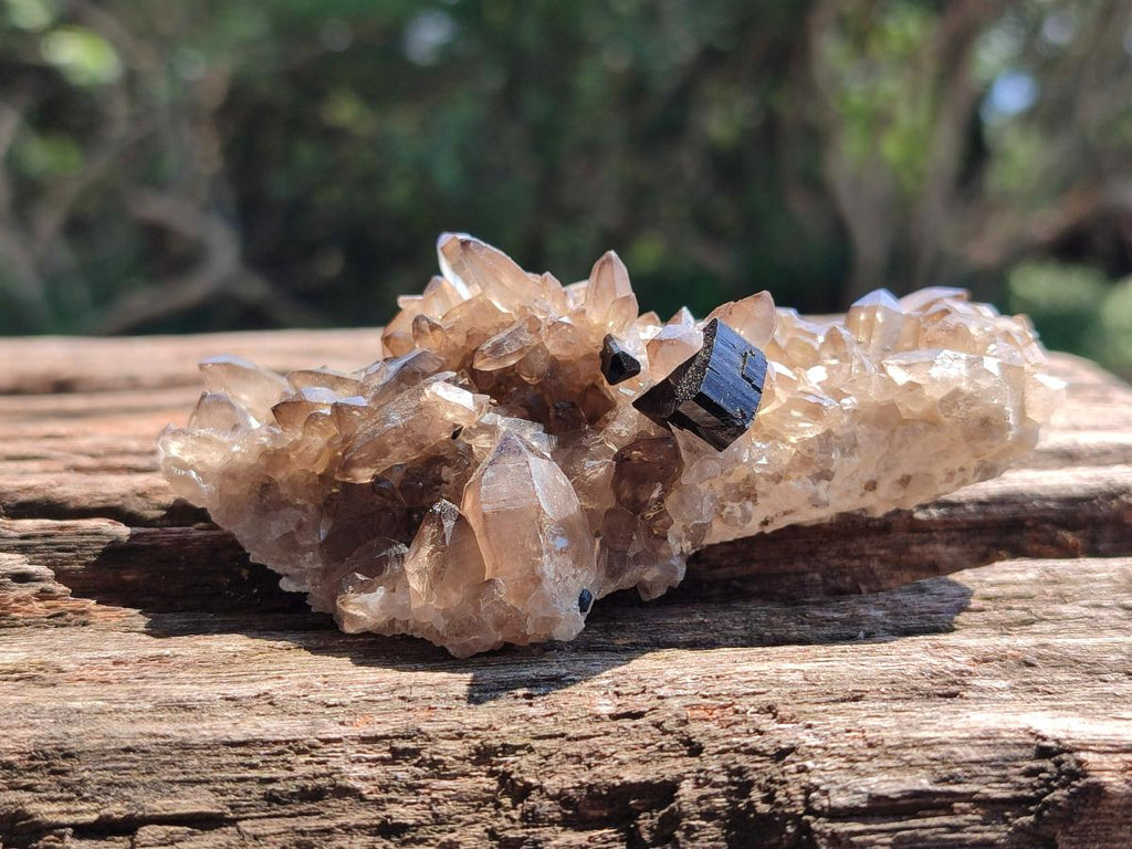 Natural Schorl Black Tourmaline with Associated Minerals x 6 From Erongo, Namibia