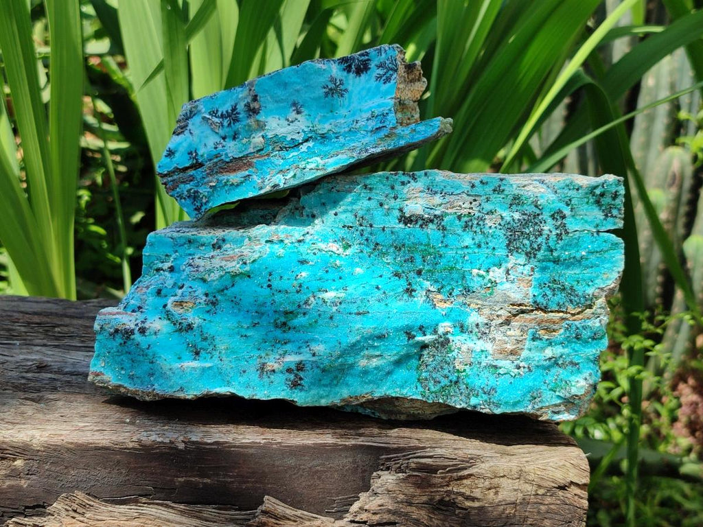 Natural Drusy Coated Chrysocolla Specimens With Associated Minerals x 2 From Likasi, Congo - Toprock Gemstones and Minerals 