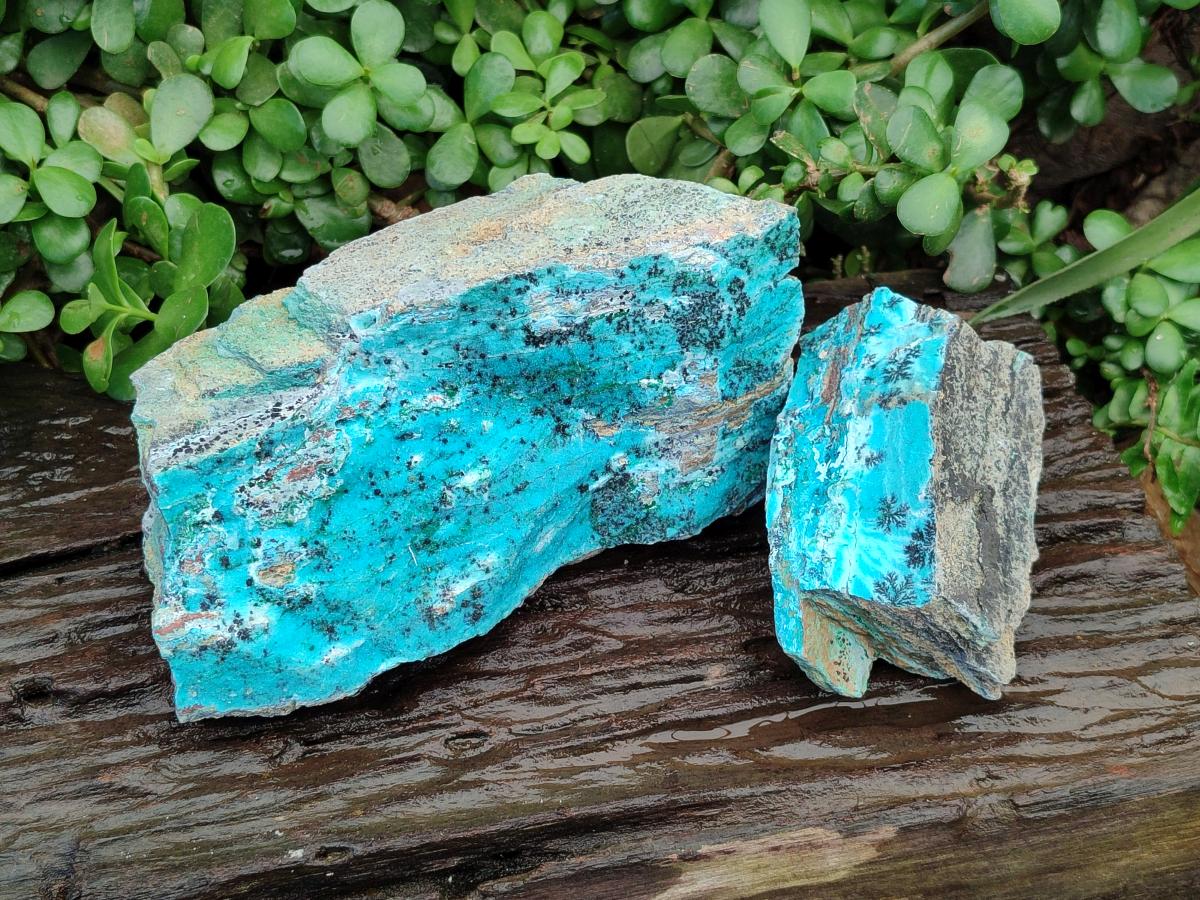 Natural Drusy Coated Chrysocolla Specimens With Associated Minerals x 2 From Likasi, Congo - Toprock Gemstones and Minerals 