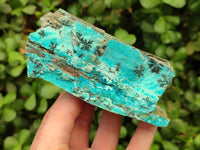 Natural Drusy Coated Chrysocolla Specimens With Associated Minerals x 2 From Likasi, Congo