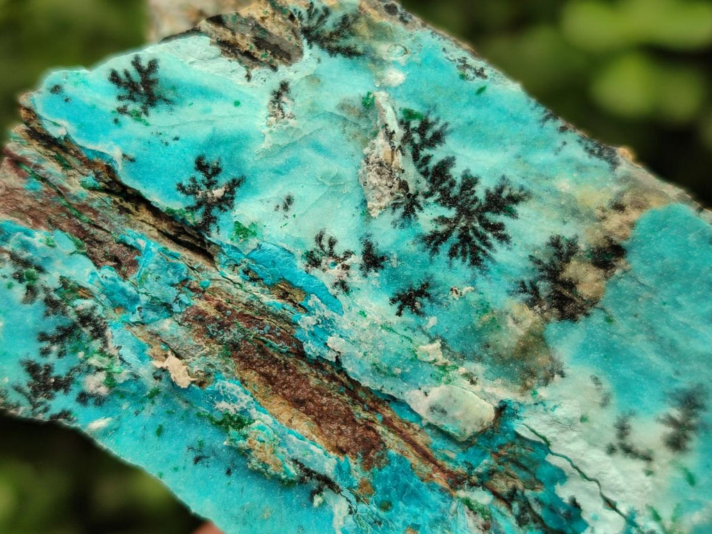 Natural Drusy Coated Chrysocolla Specimens With Associated Minerals x 2 From Likasi, Congo - Toprock Gemstones and Minerals 