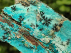 Natural Drusy Coated Chrysocolla Specimens With Associated Minerals x 2 From Likasi, Congo - Toprock Gemstones and Minerals 