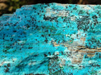 Natural Drusy Coated Chrysocolla Specimens With Associated Minerals x 2 From Likasi, Congo - Toprock Gemstones and Minerals 