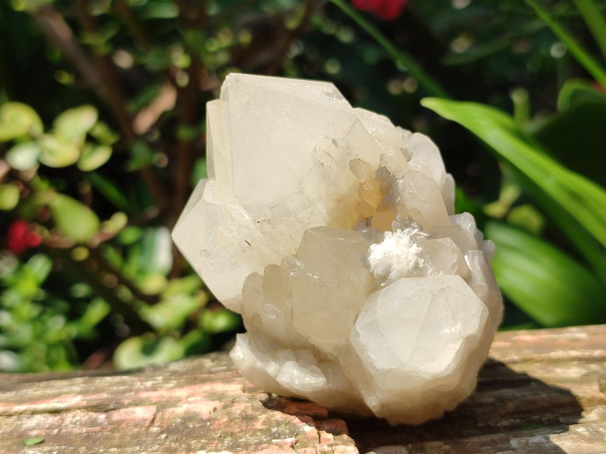 Natural Quartz Crystal Clusters x 6 From Madagascar