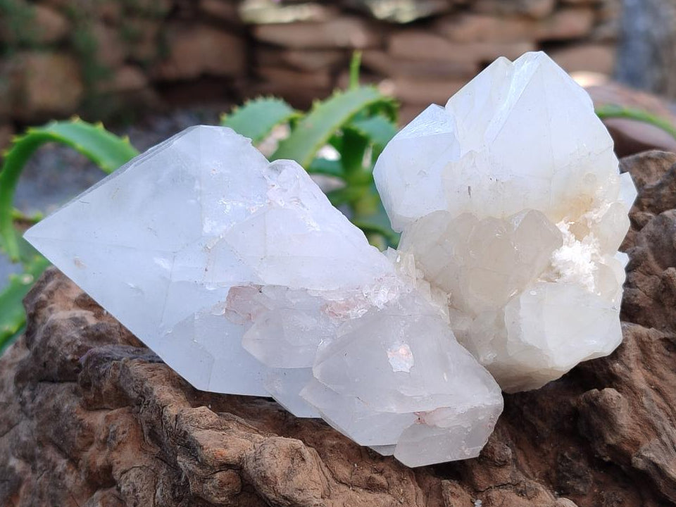 Natural Quartz Crystal Clusters x 6 From Madagascar