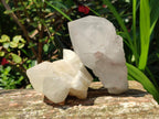 Natural Quartz Crystal Clusters x 6 From Madagascar