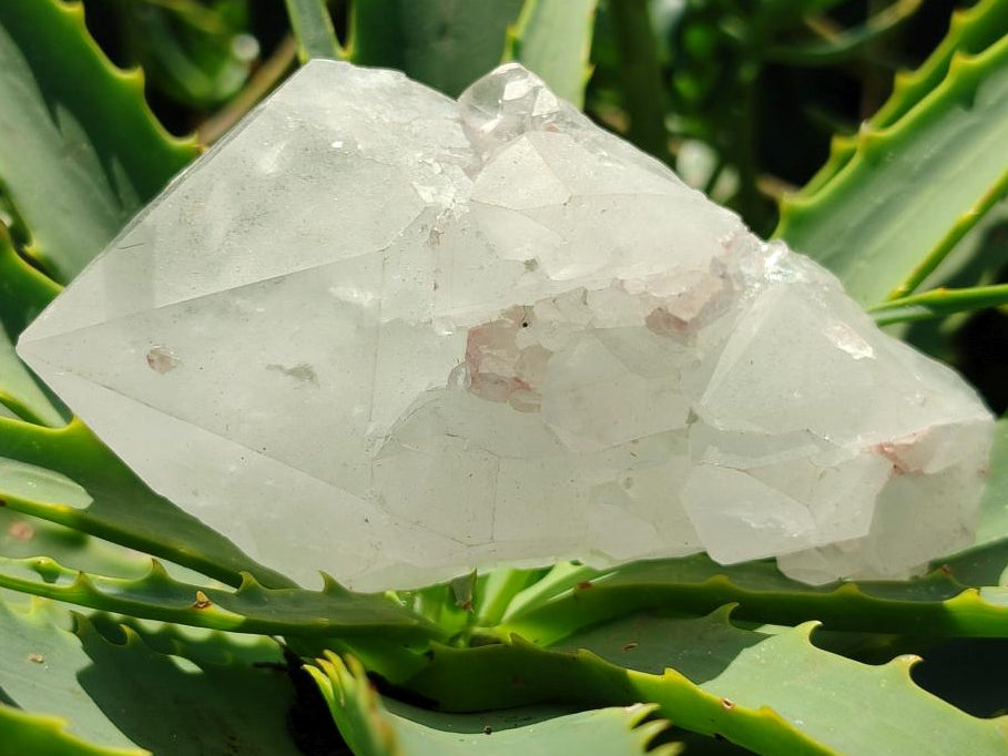 Natural Quartz Crystal Clusters x 6 From Madagascar