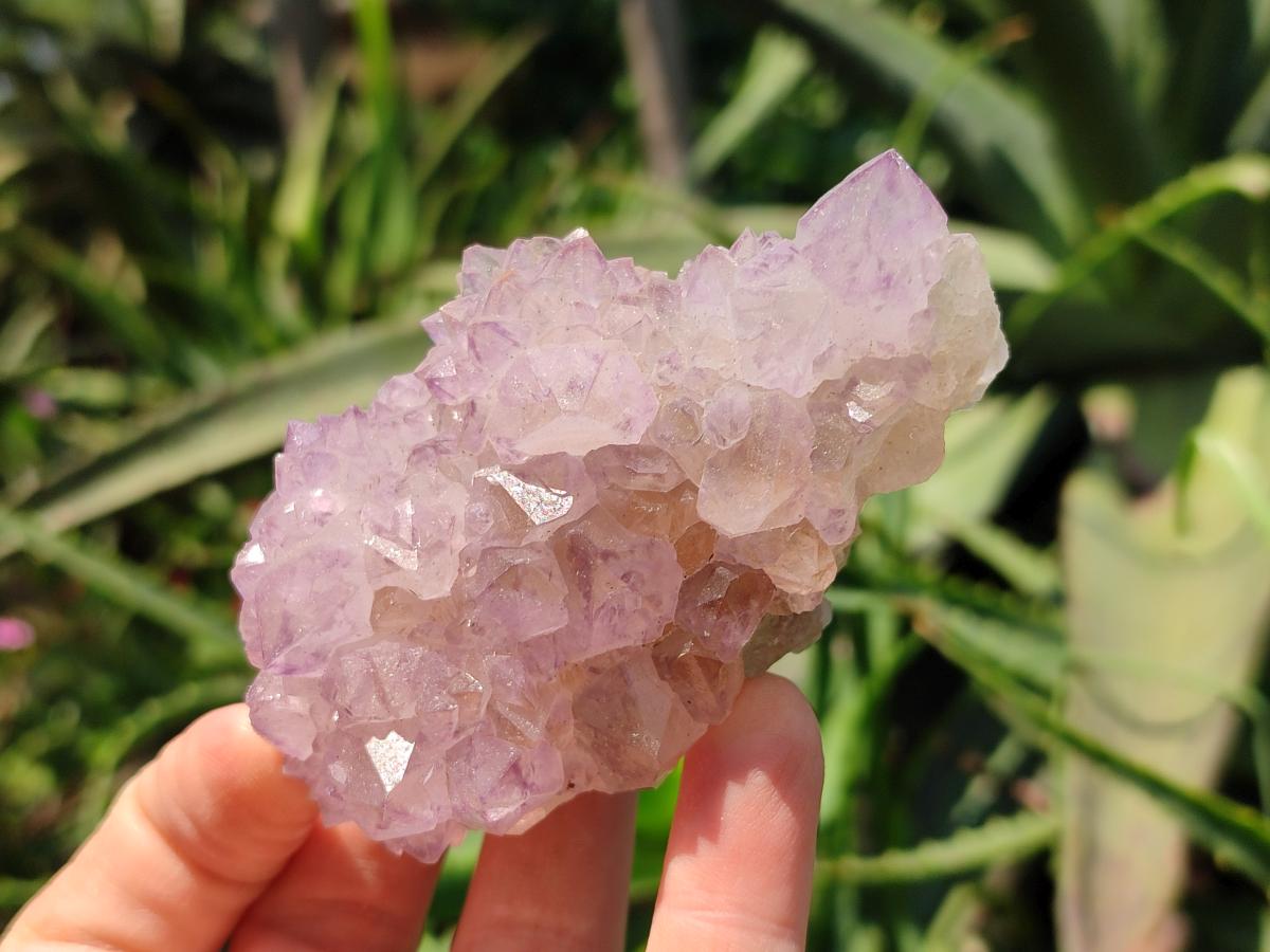 Natural Sunburst Amethyst Spirit Clusters x 6 From Boekenhouthoek, South Africa