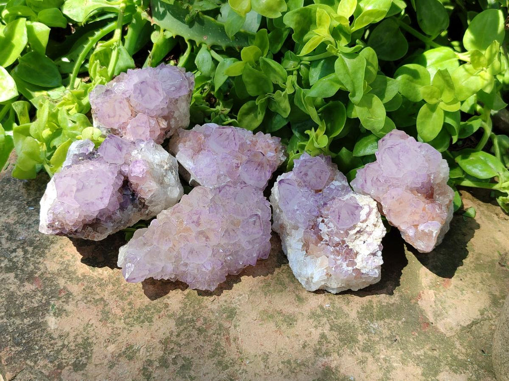 Sunburst Rocks Natural Sunburst Amethyst Spirit Clusters x 6 From Boekenhouthoek, Sou ...