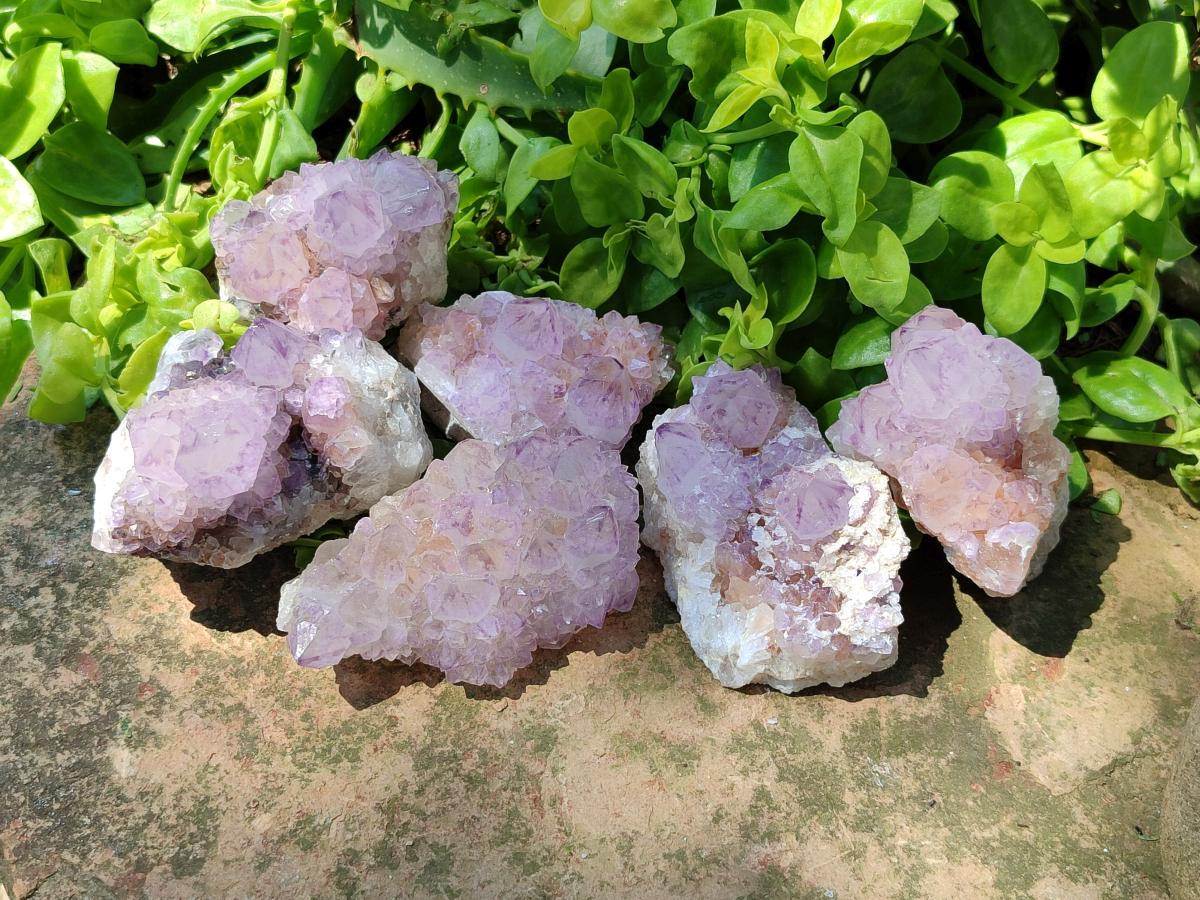 Natural Sunburst Amethyst Spirit Clusters x 6 From Boekenhouthoek, South Africa