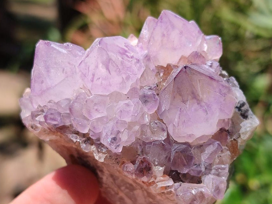 Natural Sunburst Amethyst Spirit Clusters x 6 From Boekenhouthoek, South Africa