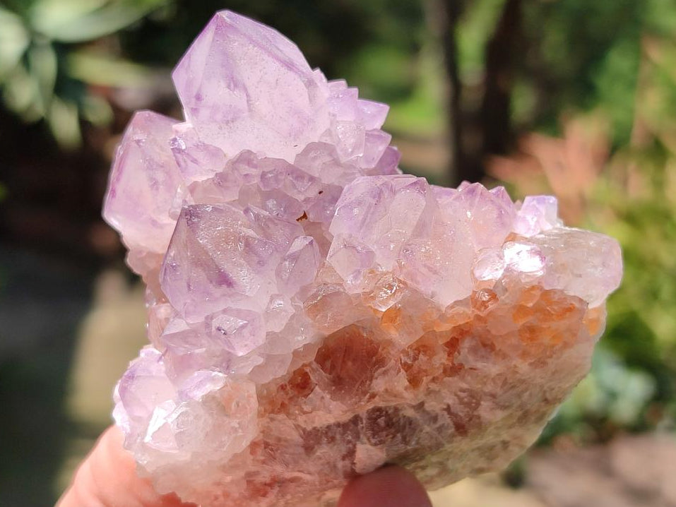 Natural Sunburst Amethyst Spirit Clusters x 6 From Boekenhouthoek, South Africa