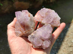 Natural Sunburst Amethyst Spirit Clusters x 6 From Boekenhouthoek, South Africa